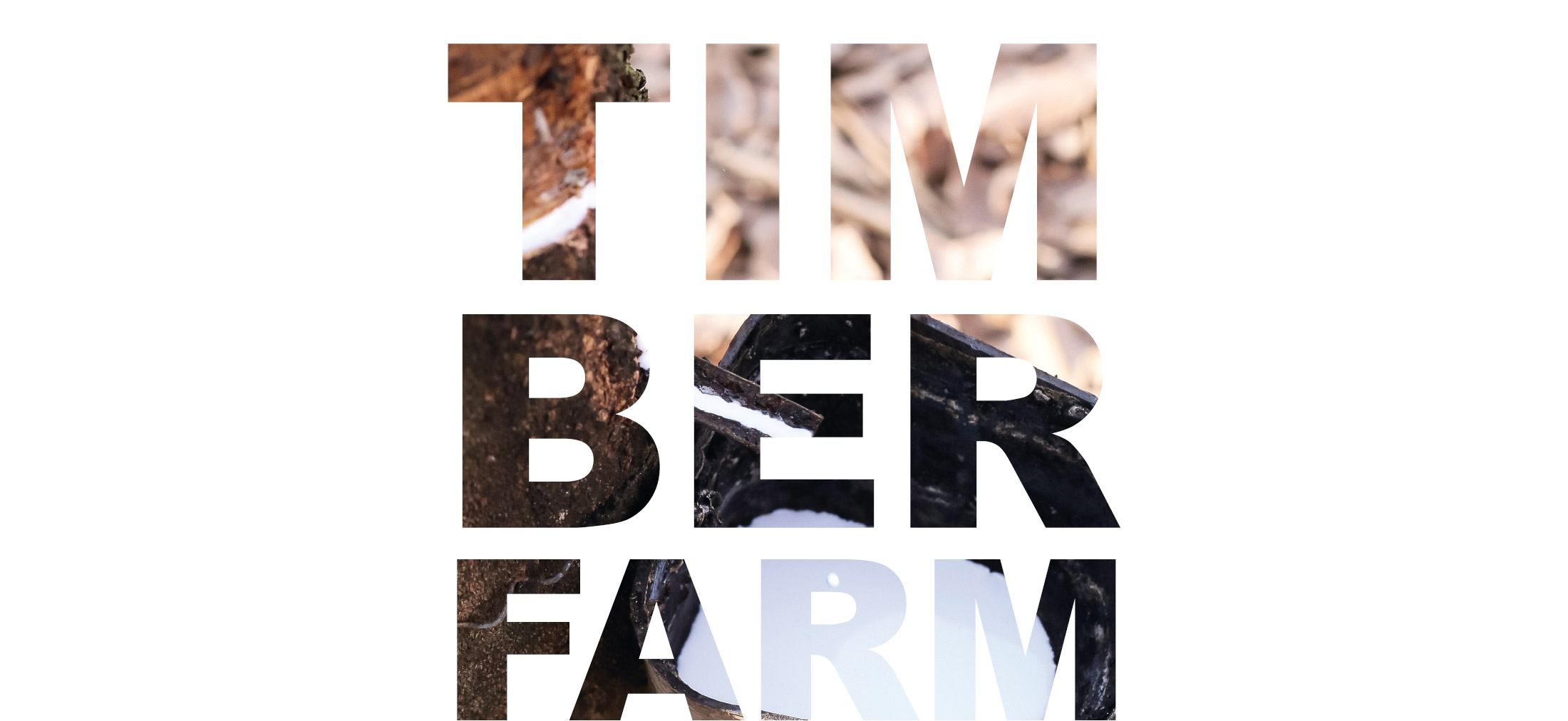 TIMBERFARM Wie alles begann